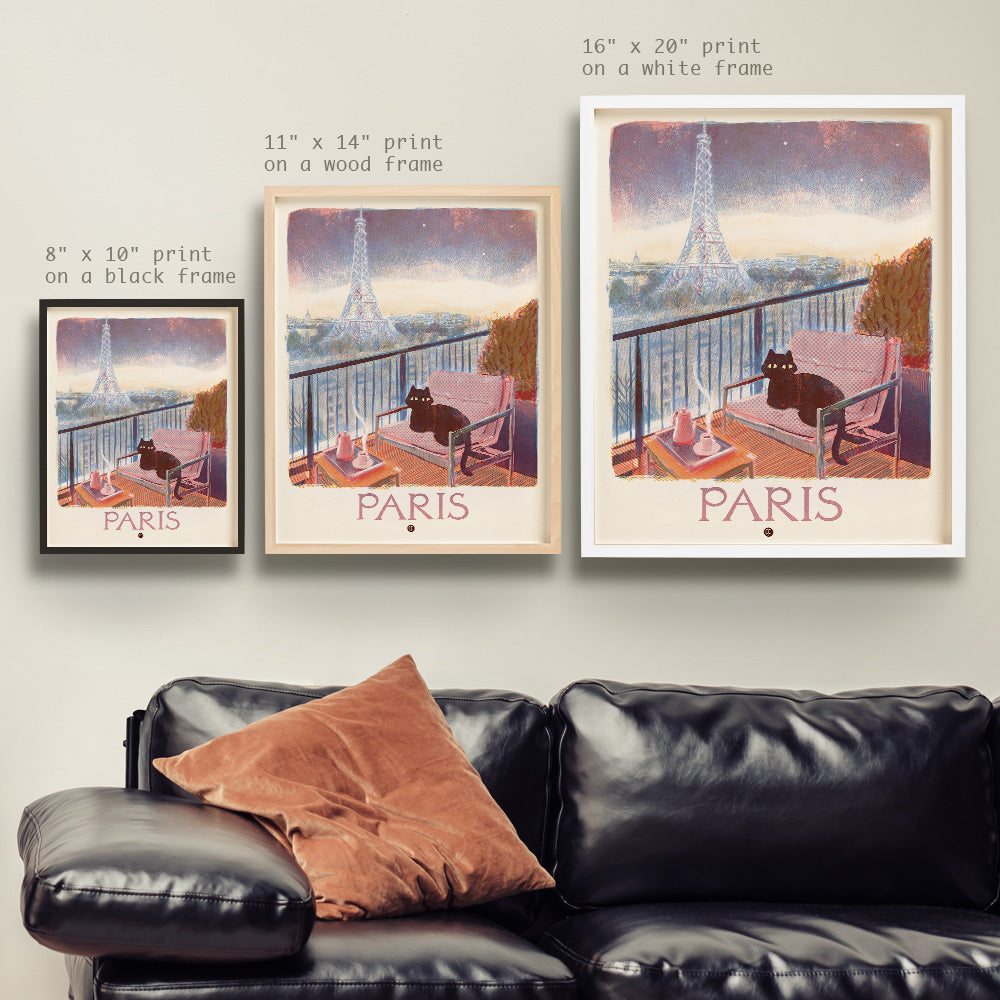 Paris With Cat