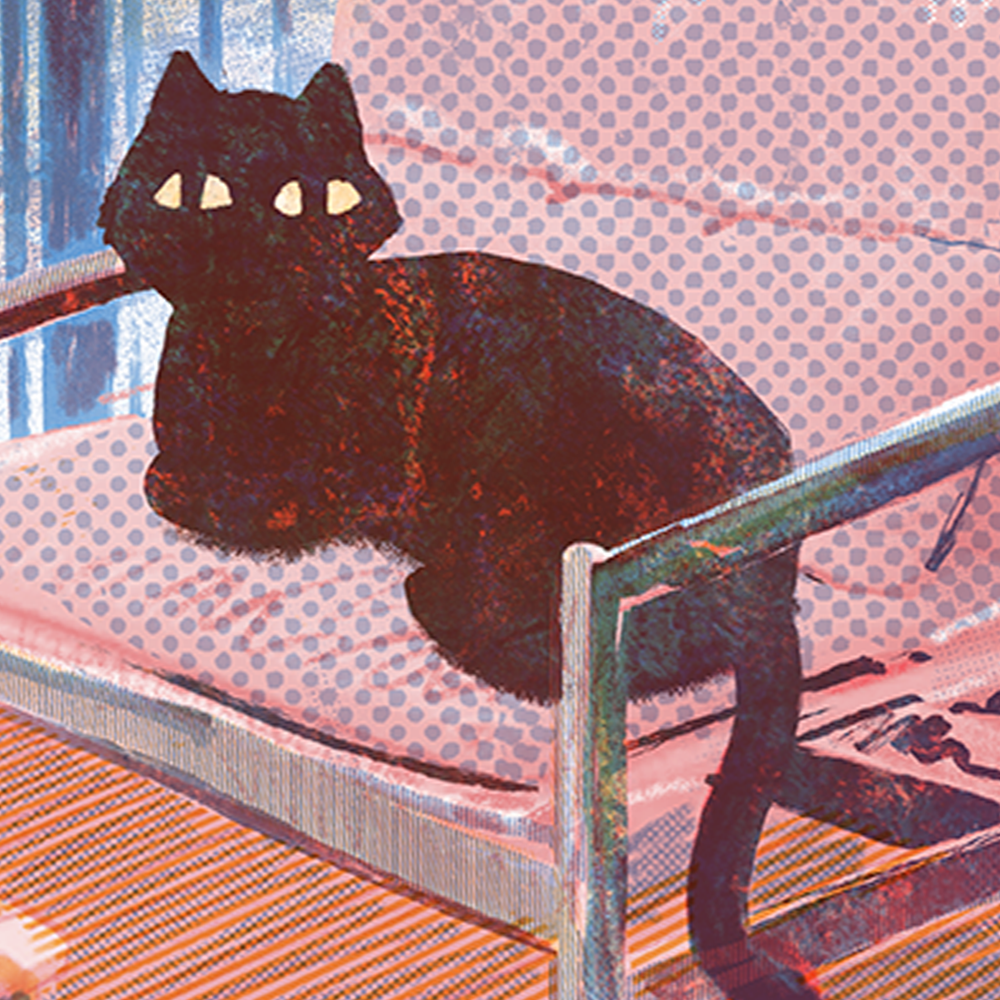 Paris With Cat