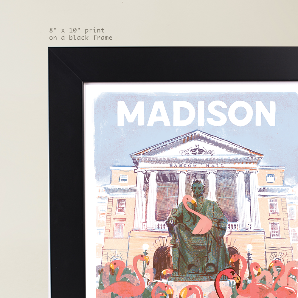 Madison - Flamingos in Bascom Hill