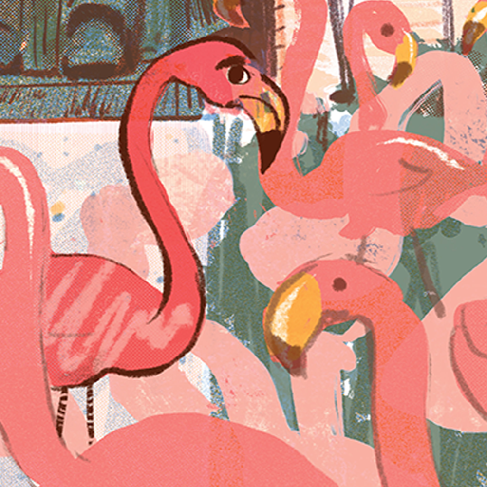 Madison - Flamingos in Bascom Hill