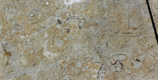 👀 The days are long, the years are short