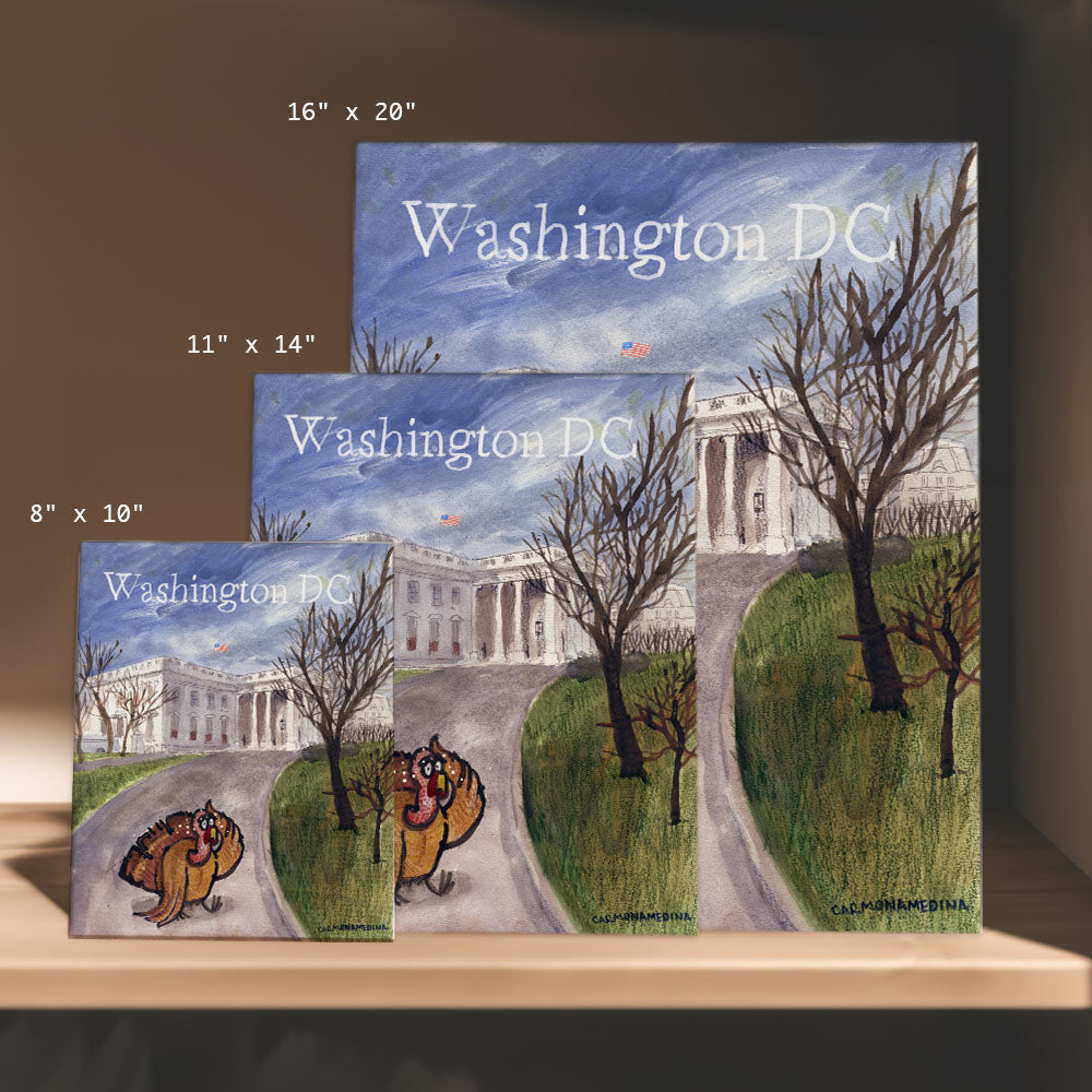 three books on a shelf with a drawing of washington dc