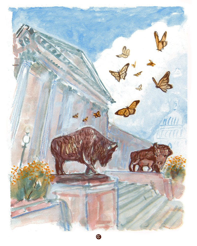 Bisons at the National History Museum