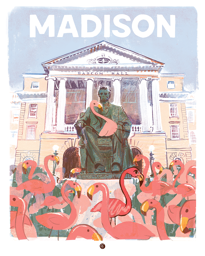 Madison - Flamingos in Bascom Hill