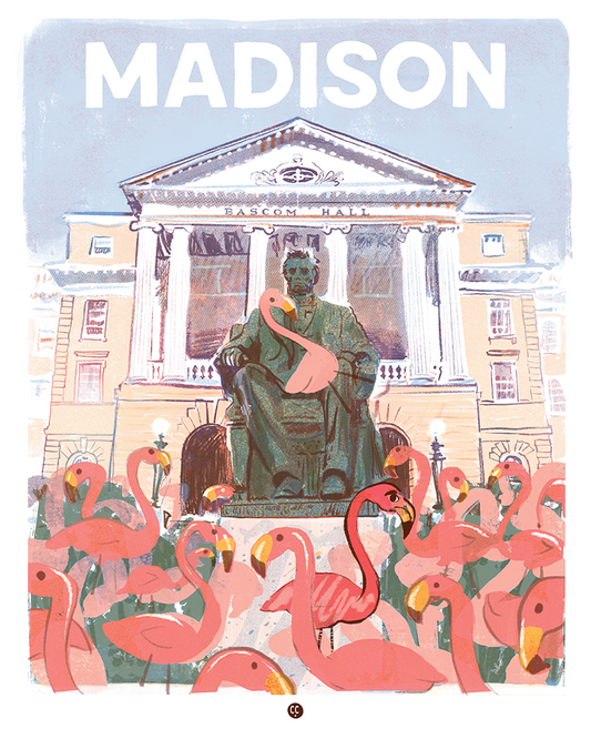 Madison - Flamingos in Bascom Hill