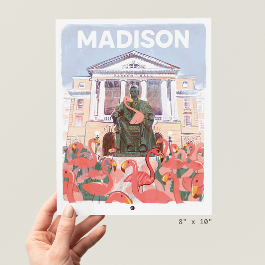 Madison - Flamingos in Bascom Hill