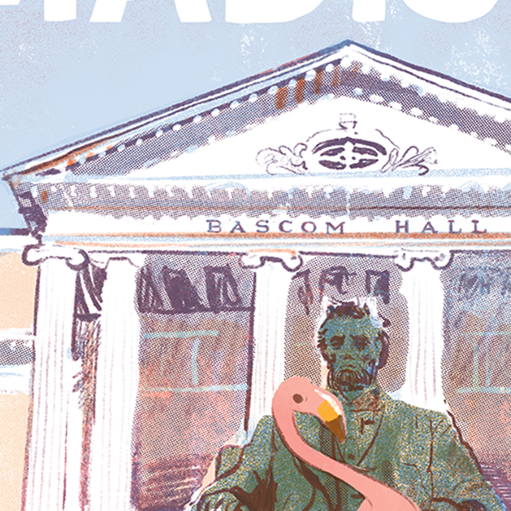 Madison - Flamingos in Bascom Hill